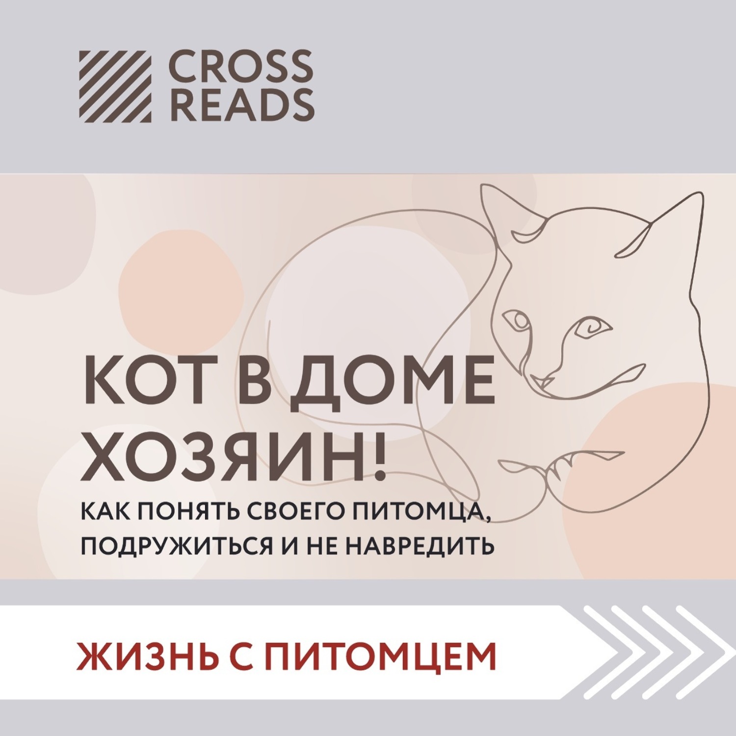 Обложка книги «Саммари «Кот в доме хозяин! Как понять своего питомца, подружиться и не навредить»»