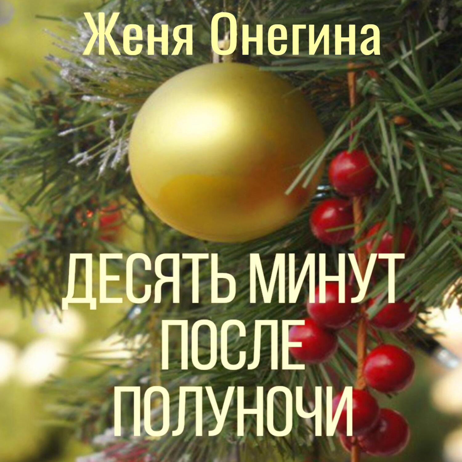 Обложка книги «Десять минут после полуночи»