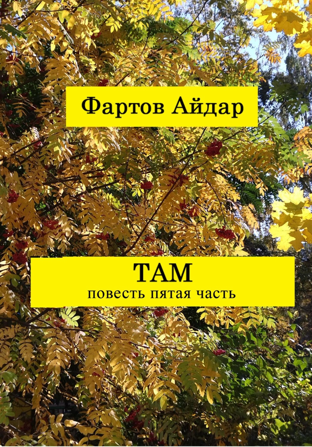 Обложка книги «Там. Часть V. Заключительная»