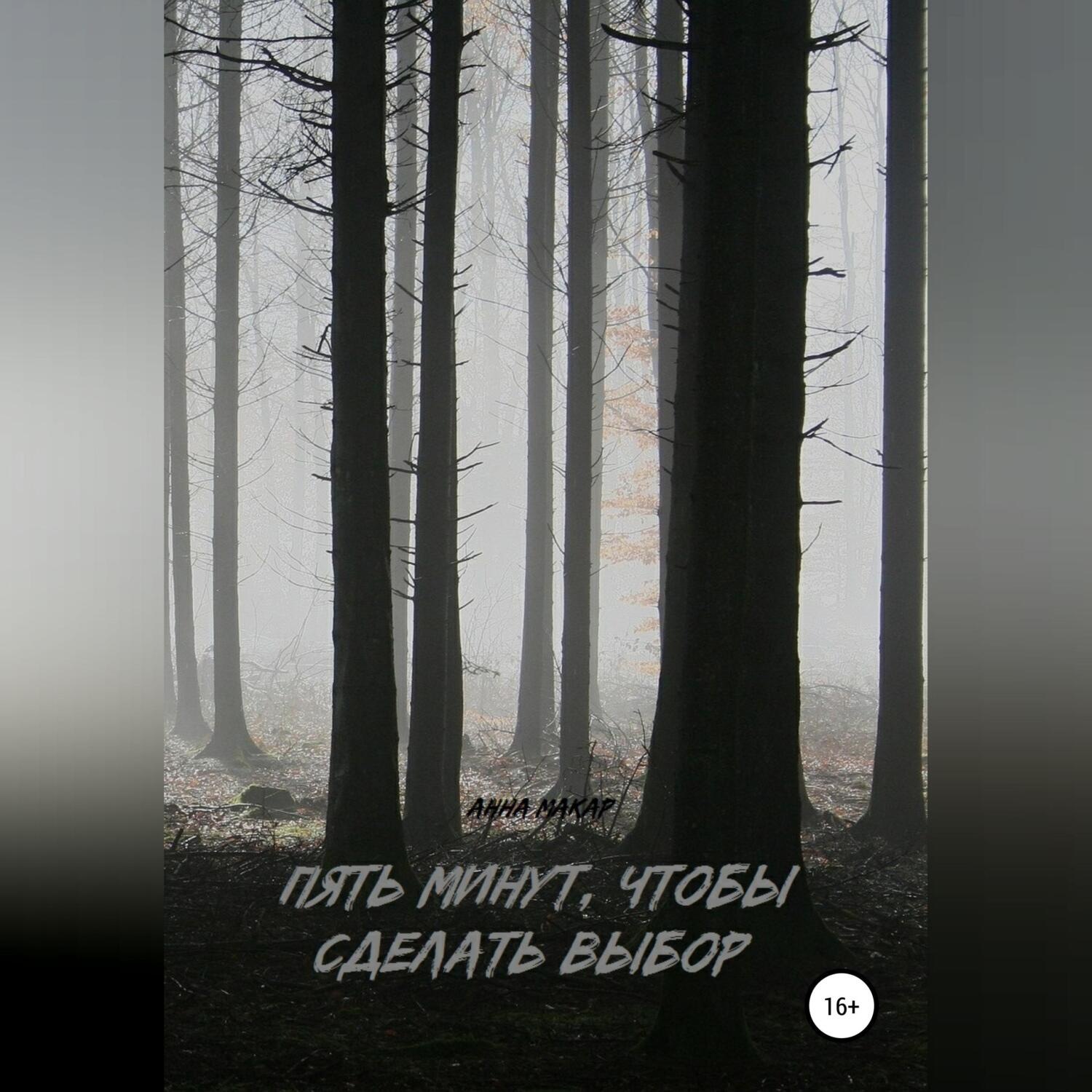 Обложка книги «Пять минут, чтобы сделать выбор»