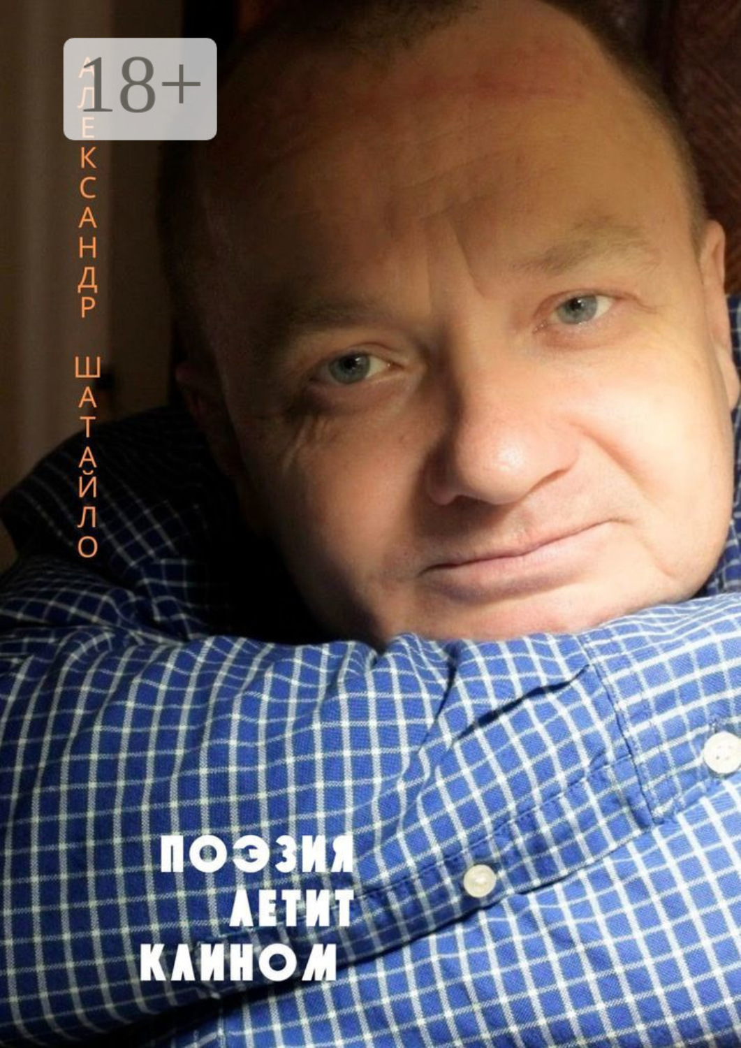 Обложка книги «Поэзия летит клином»