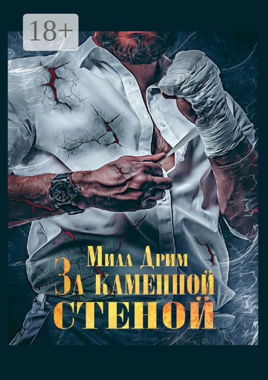 Обложка книги «За каменной стеной»