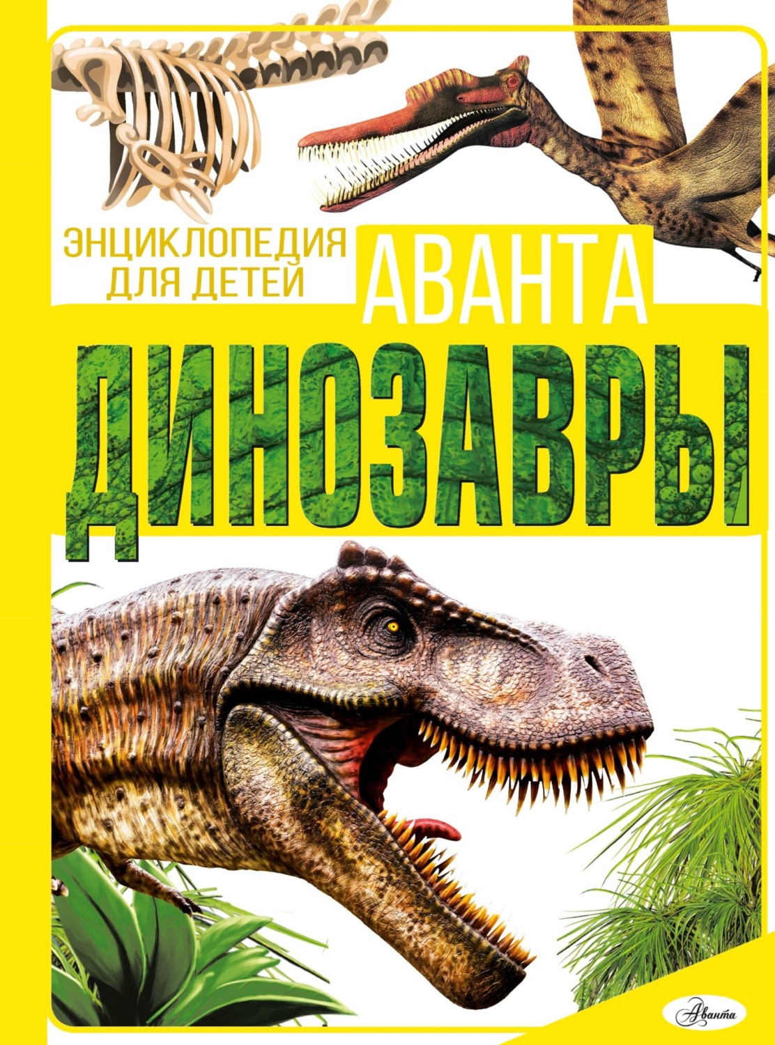 Обложка книги «Динозавры»