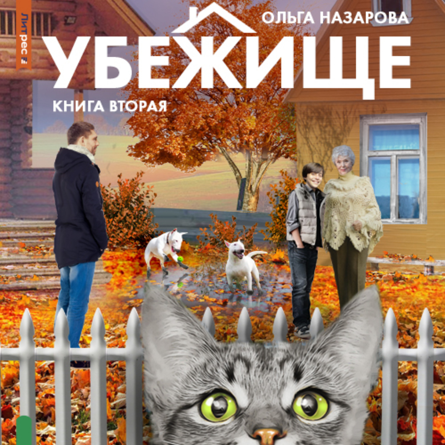 Обложка книги «Убежище. Книга вторая»