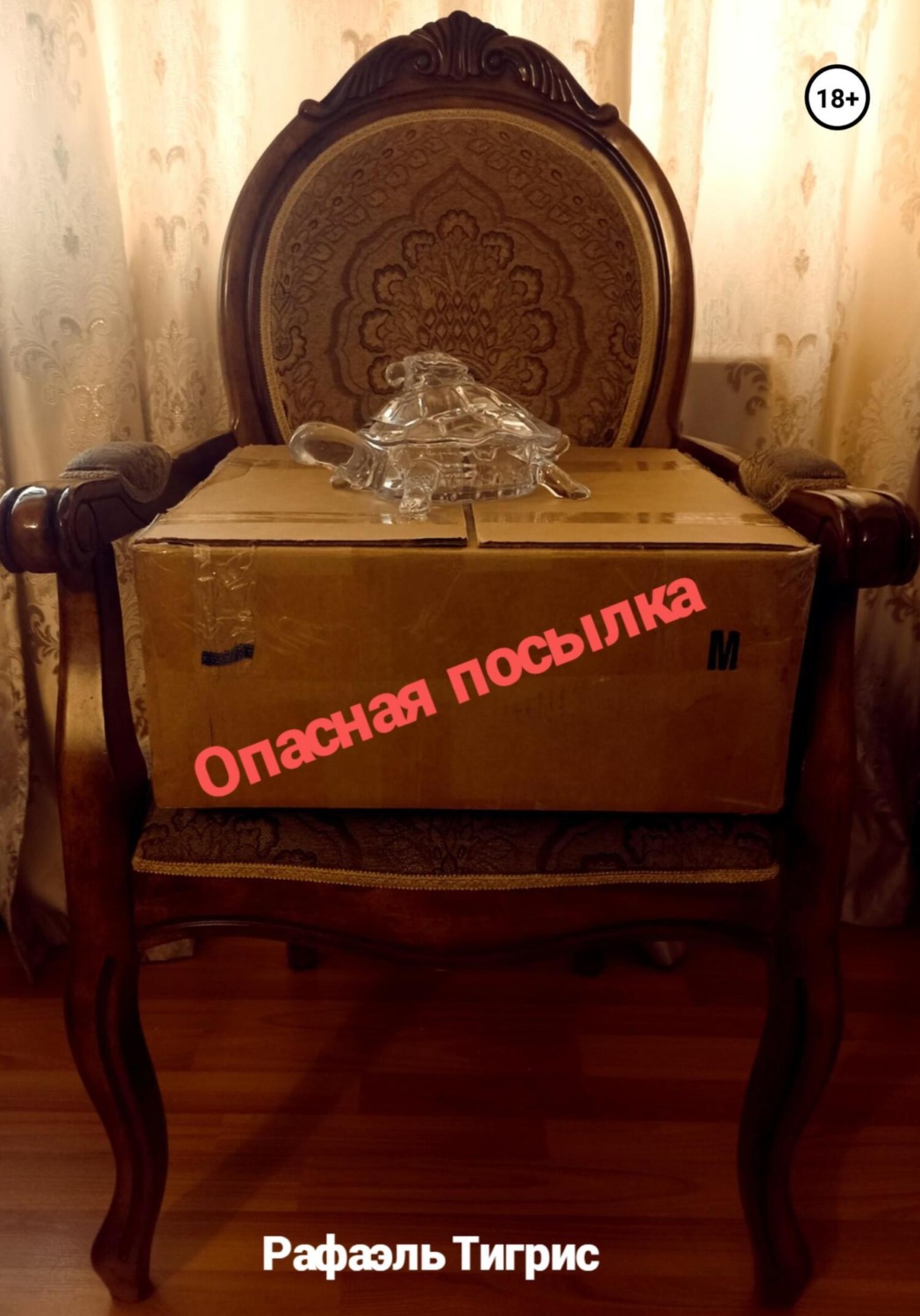 Обложка книги «Опасная посылка»