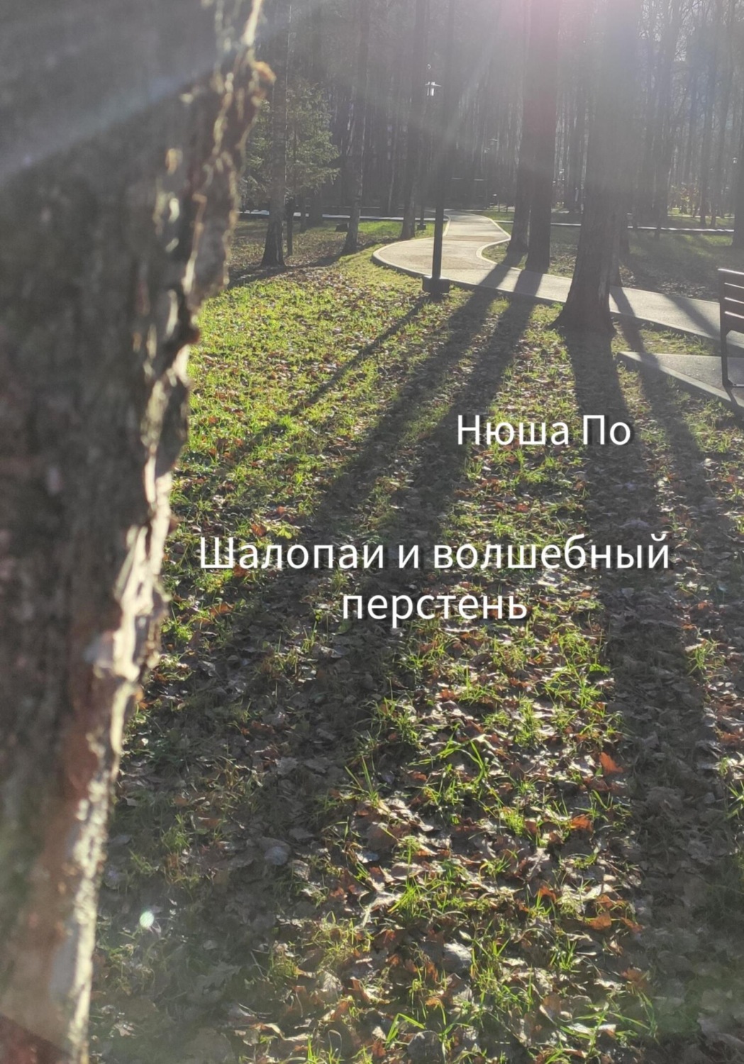 Обложка книги «Шалопаи и волшебный перстень»