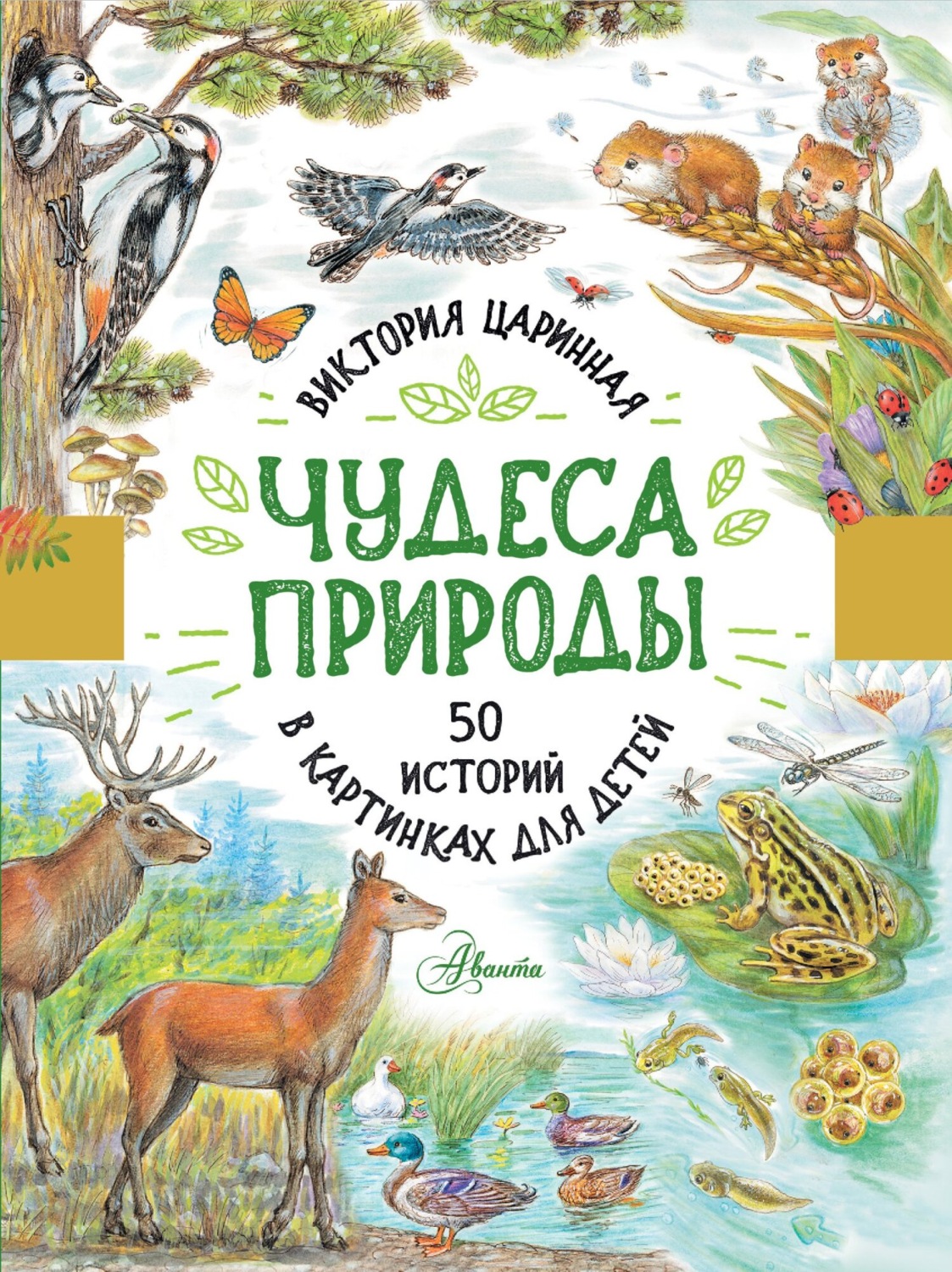 Обложка книги «Чудеса природы. 50 историй в картинках для детей»