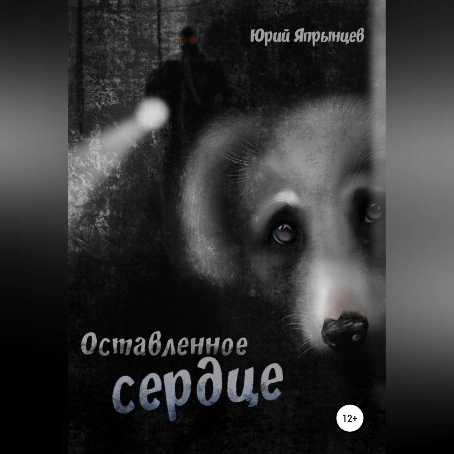 Обложка книги «Оставленное сердце»