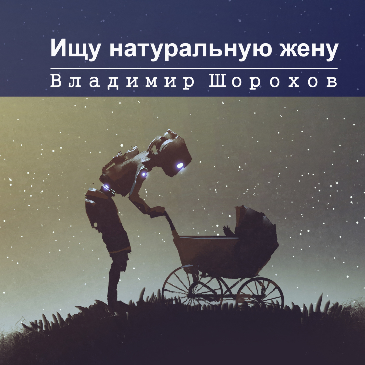 Обложка книги «Ищу натуральную жену»