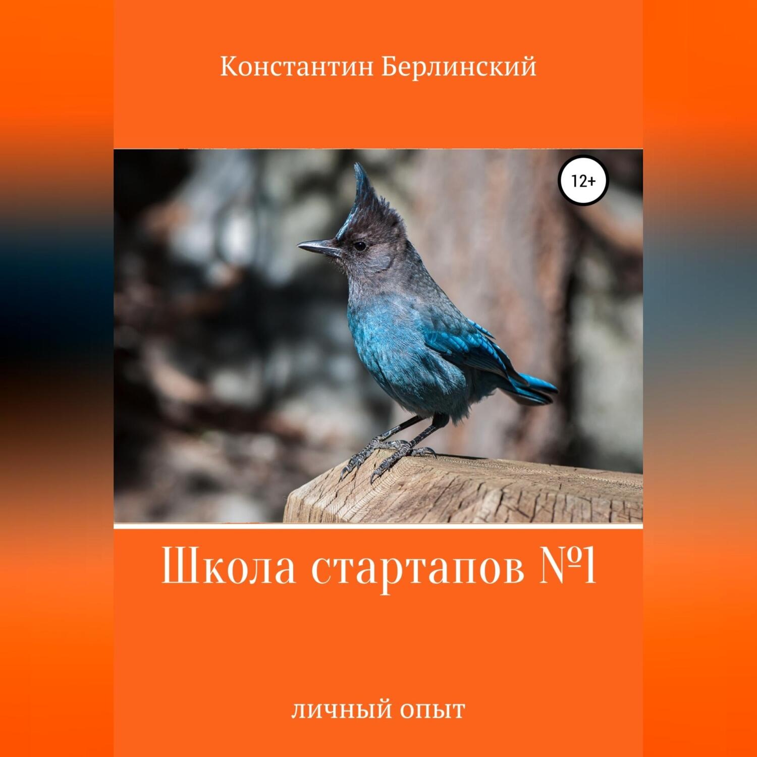 Обложка книги «Школа стартапов №1: Личный опыт»