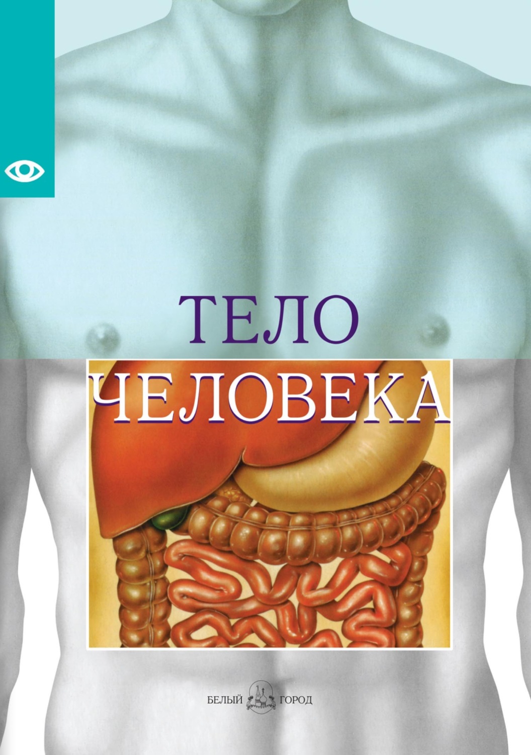 Обложка книги «Тело человека»