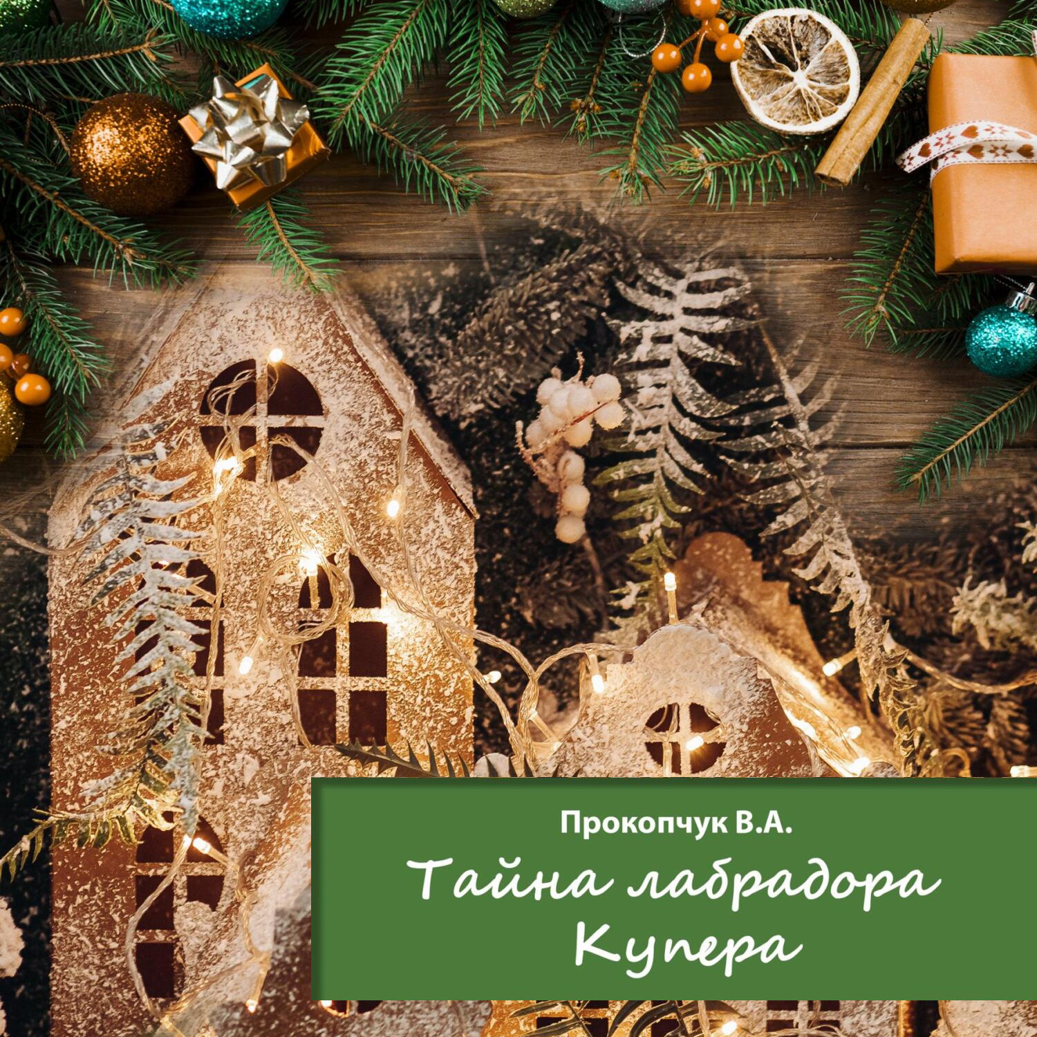 Обложка книги «Тайна лабрадора Купера»