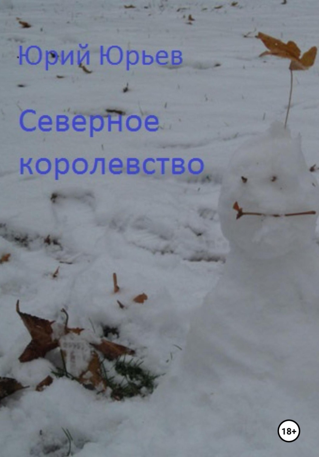Обложка книги «Северное королевство»