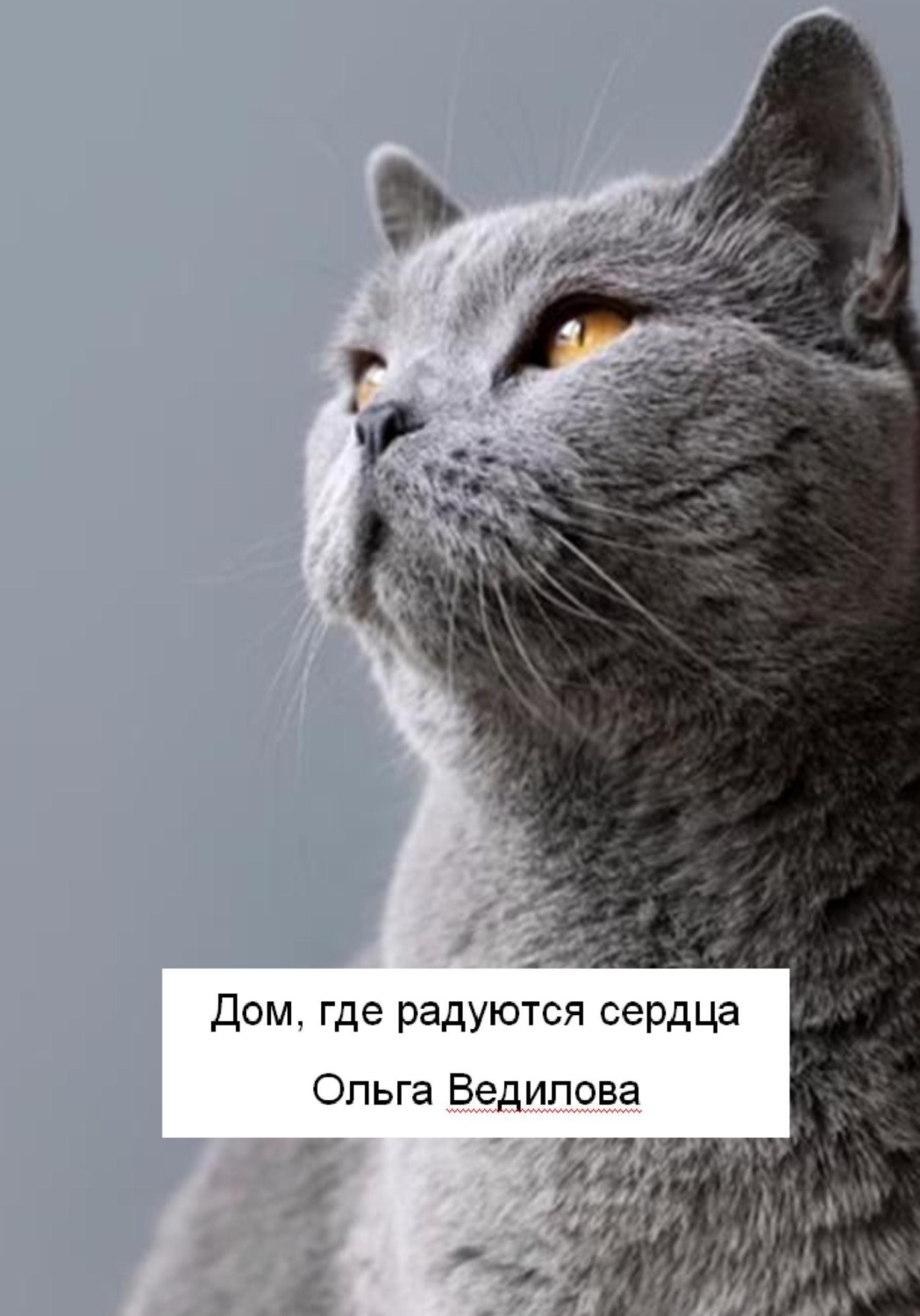 Обложка книги «Дом, где радуются сердца»