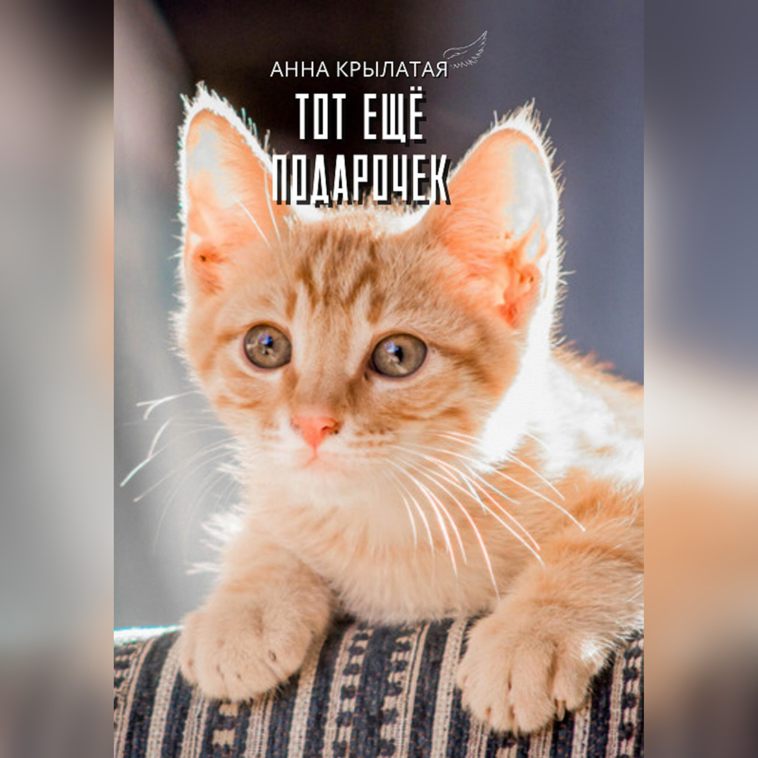 Обложка книги «Тот ещё Подарочек»