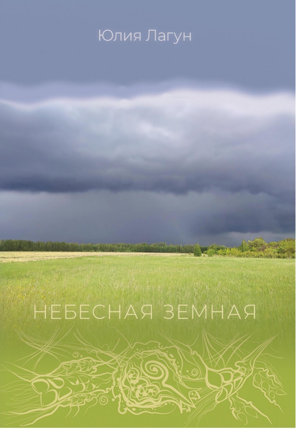 Обложка книги «Небесная земная»