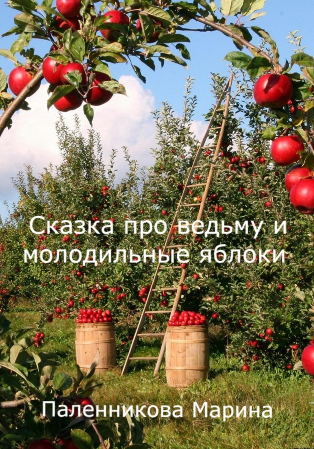 Обложка книги «Сказка про ведьму и молодильные яблоки»