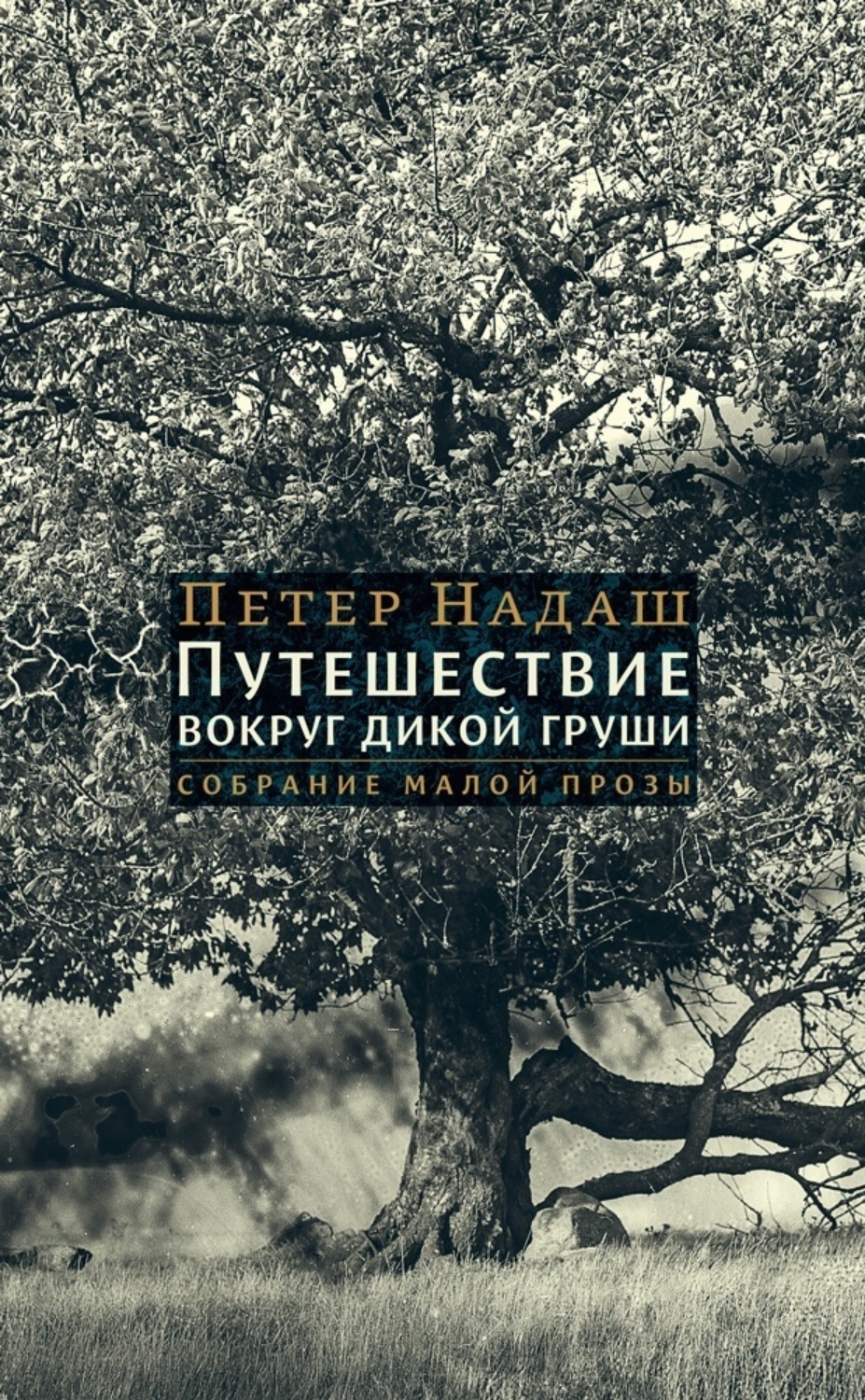 Обложка книги «Путешествие вокруг дикой груши»