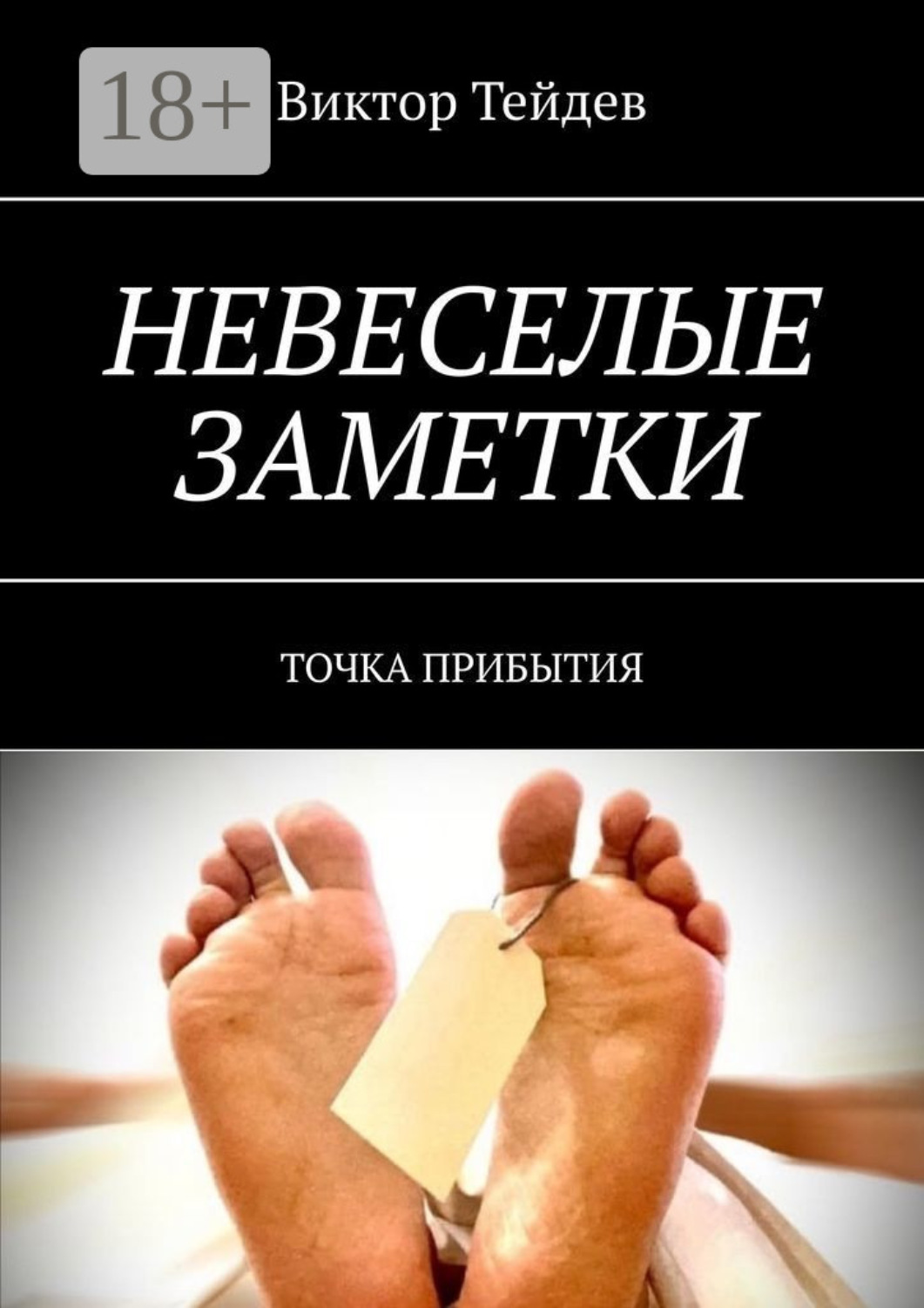 Обложка книги «Невеселые заметки. Точка прибытия»