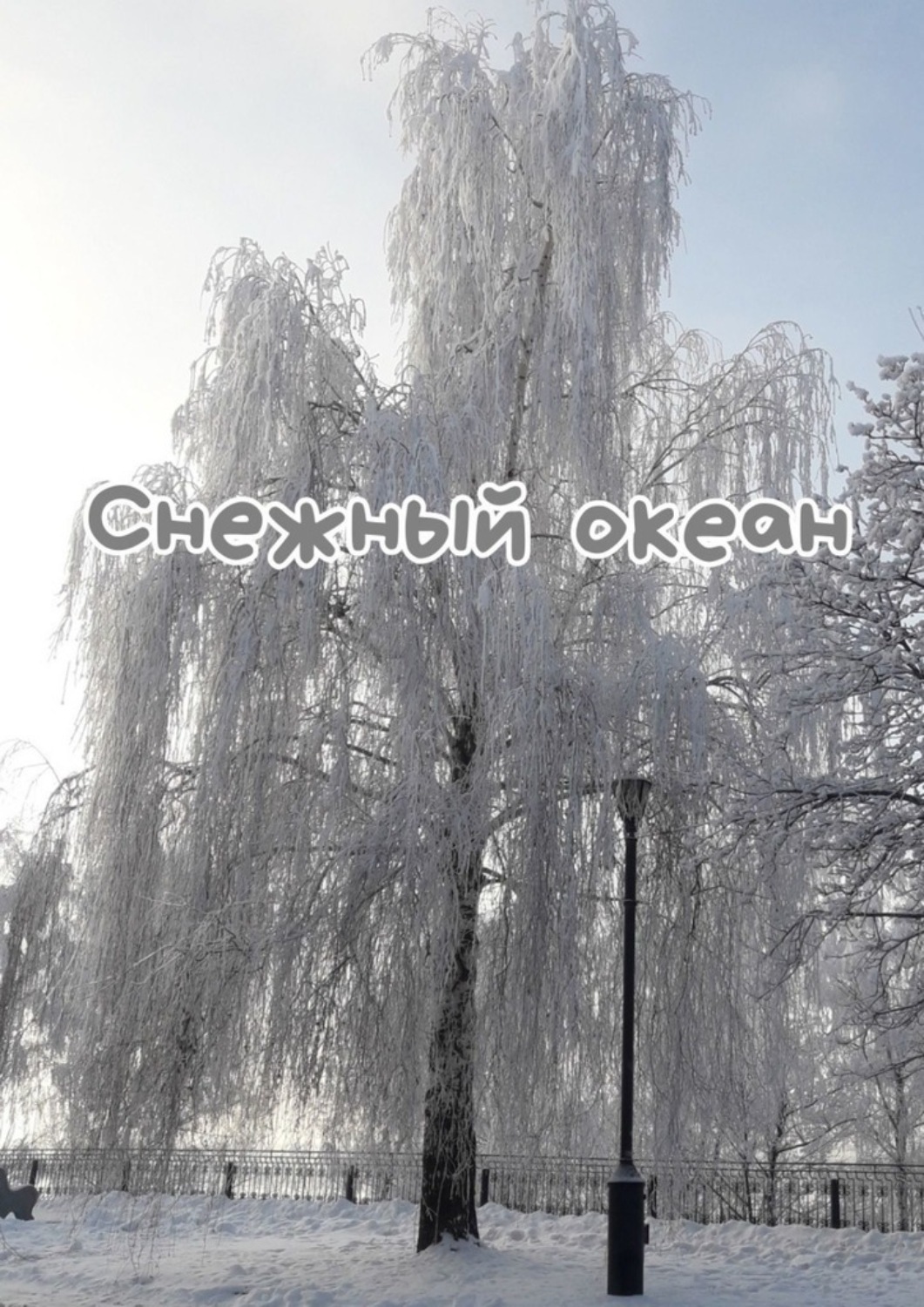 Обложка книги «Снежный океан»