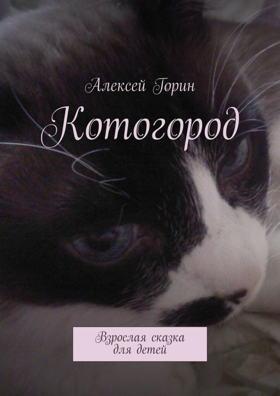 Обложка книги «Котогород. Взрослая сказка для детей»