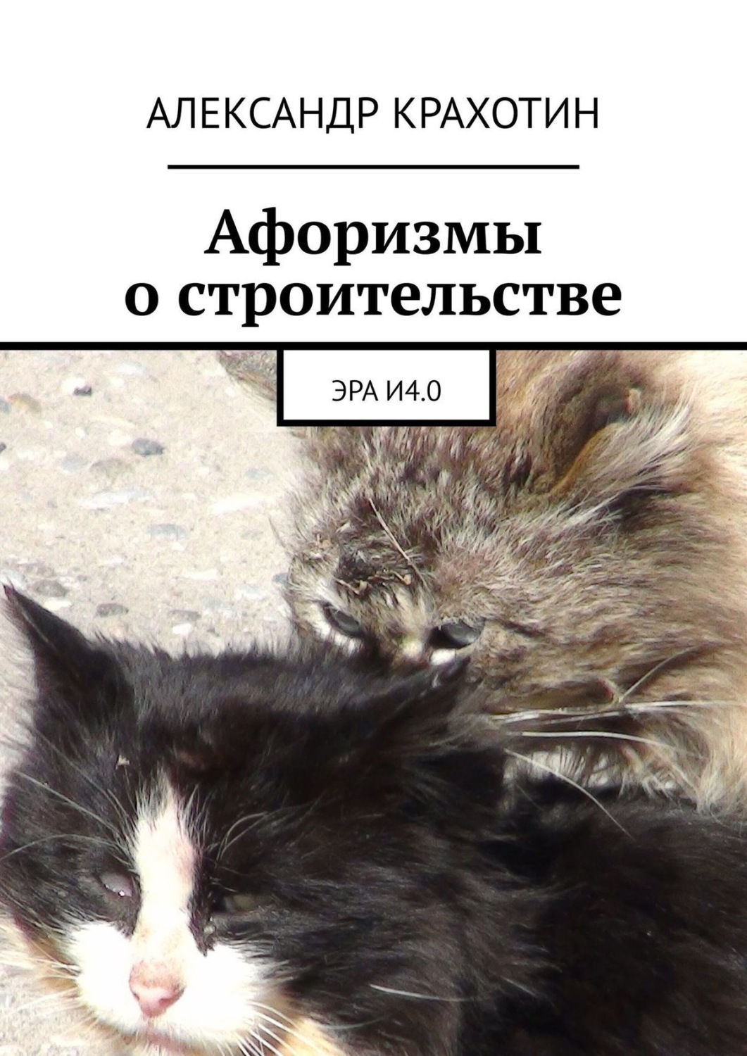 Обложка книги «Афоризмы о строительстве. Эра И4.0»
