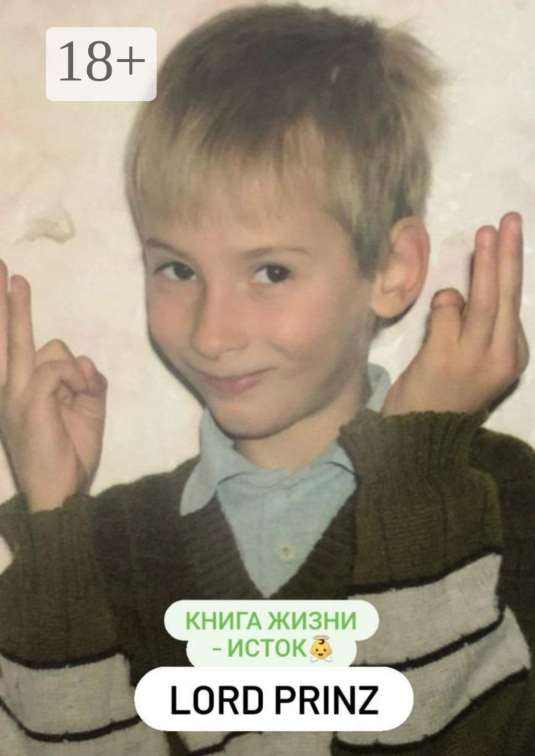 Обложка книги «Lord Prinz: книга Жизни – Исток»
