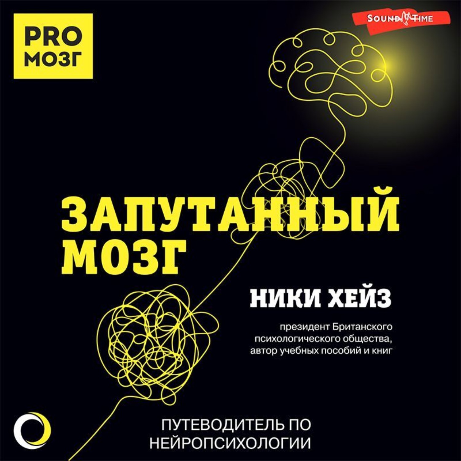 Обложка книги «Запутанный мозг. Путеводитель по нейропсихологии»