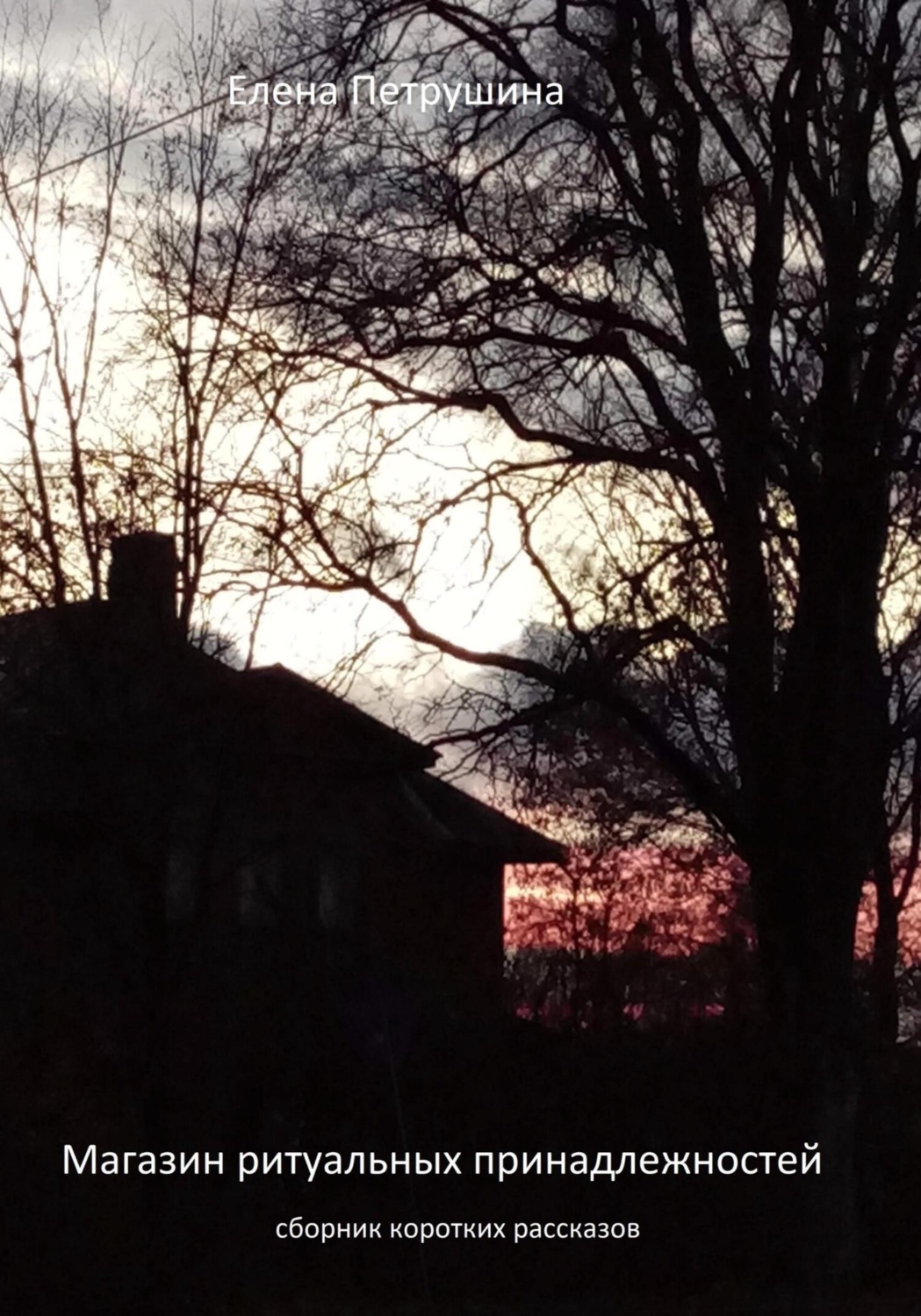 Обложка книги «Магазин ритуальных принадлежностей»