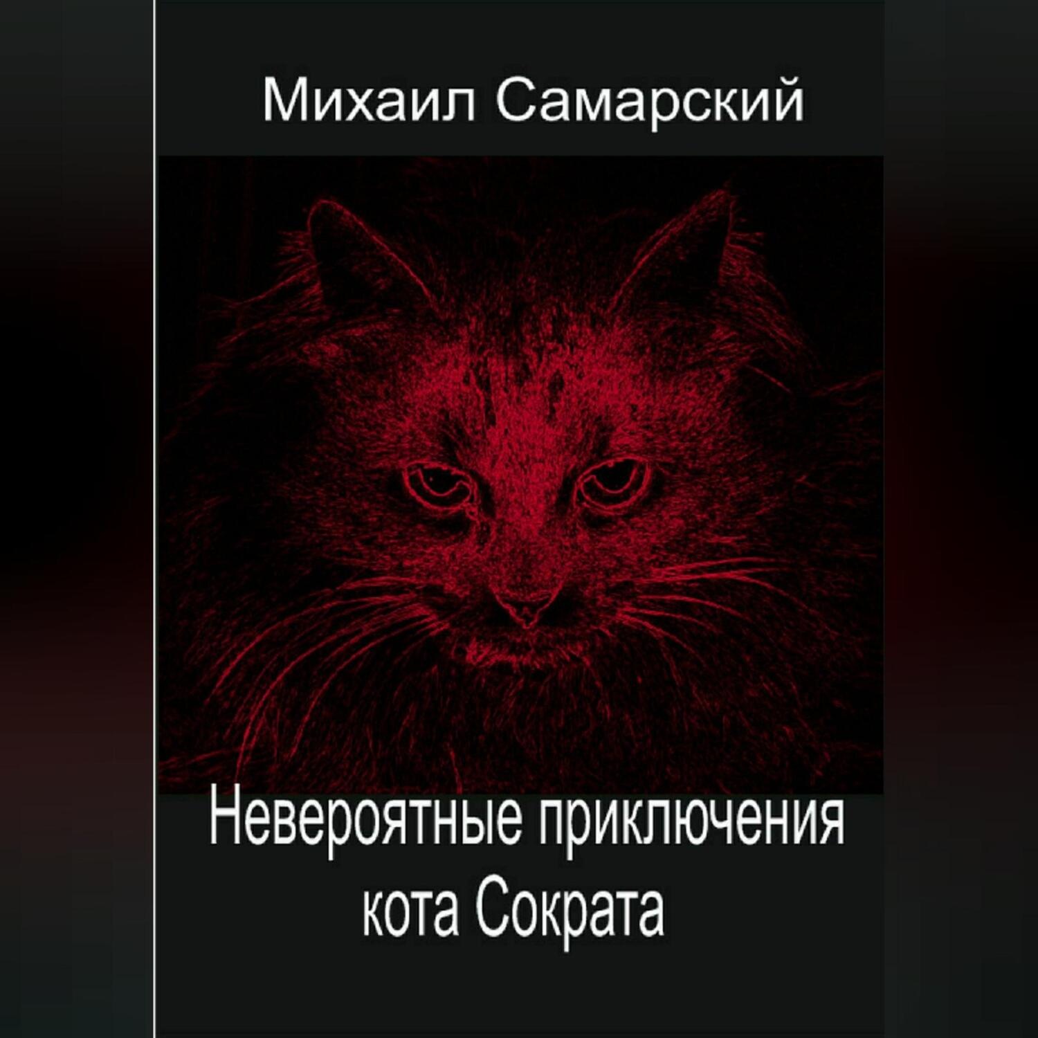 Обложка книги «Невероятные приключения кота Сократа»