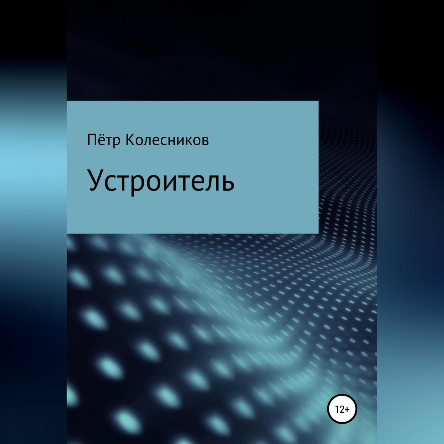 Обложка книги «Устроитель»