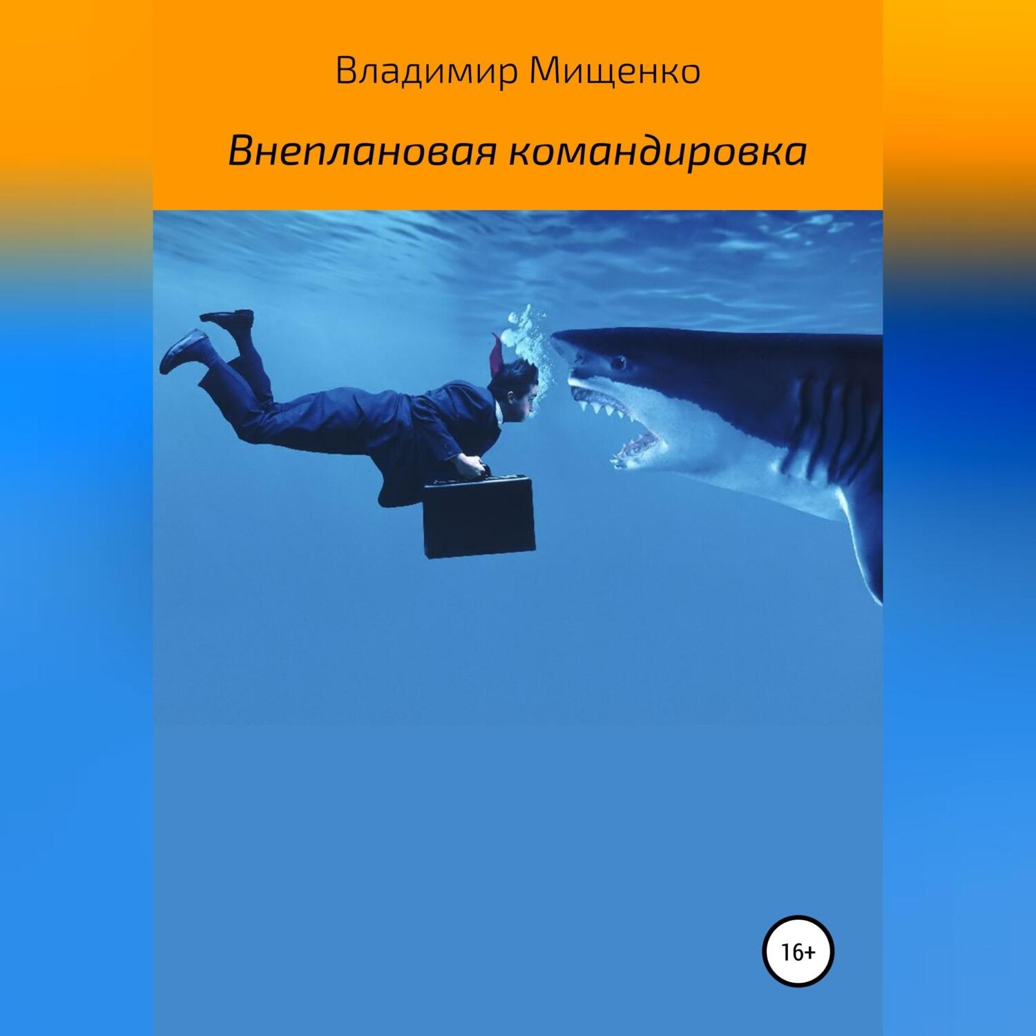Обложка книги «Внеплановая командировка»