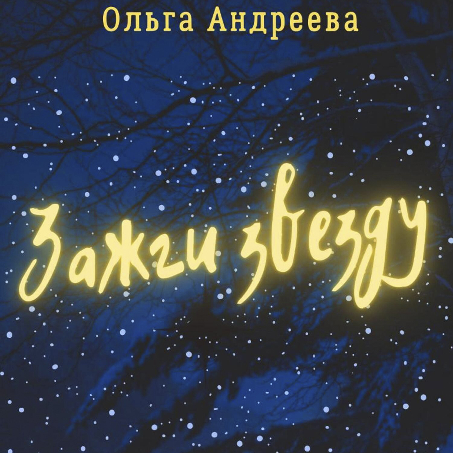 Обложка книги «Зажги звезду»