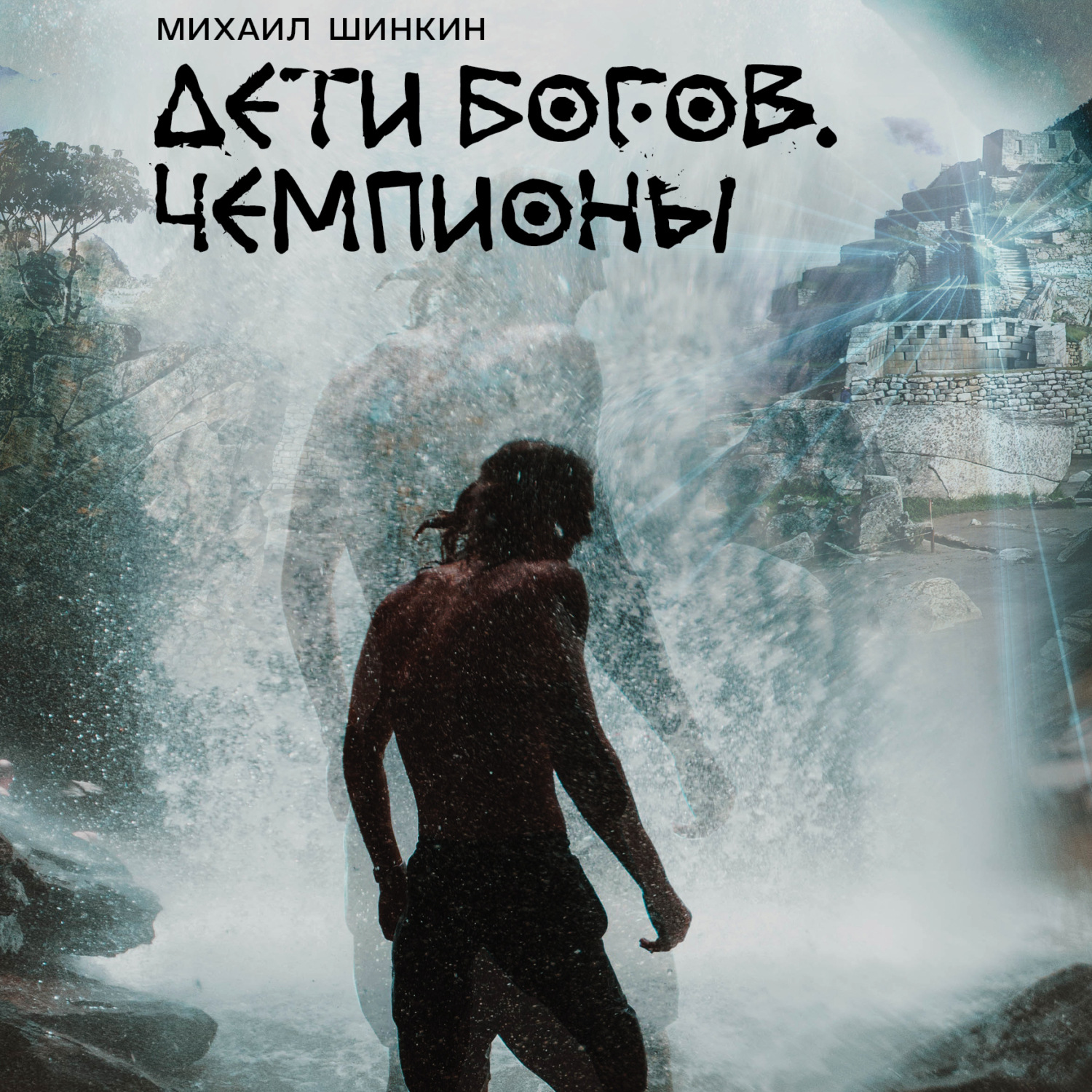 Обложка книги «Дети богов. Чемпионы»