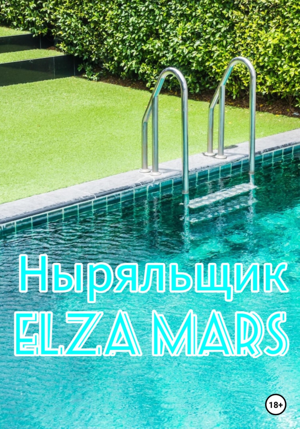 Обложка книги «Ныряльщик»