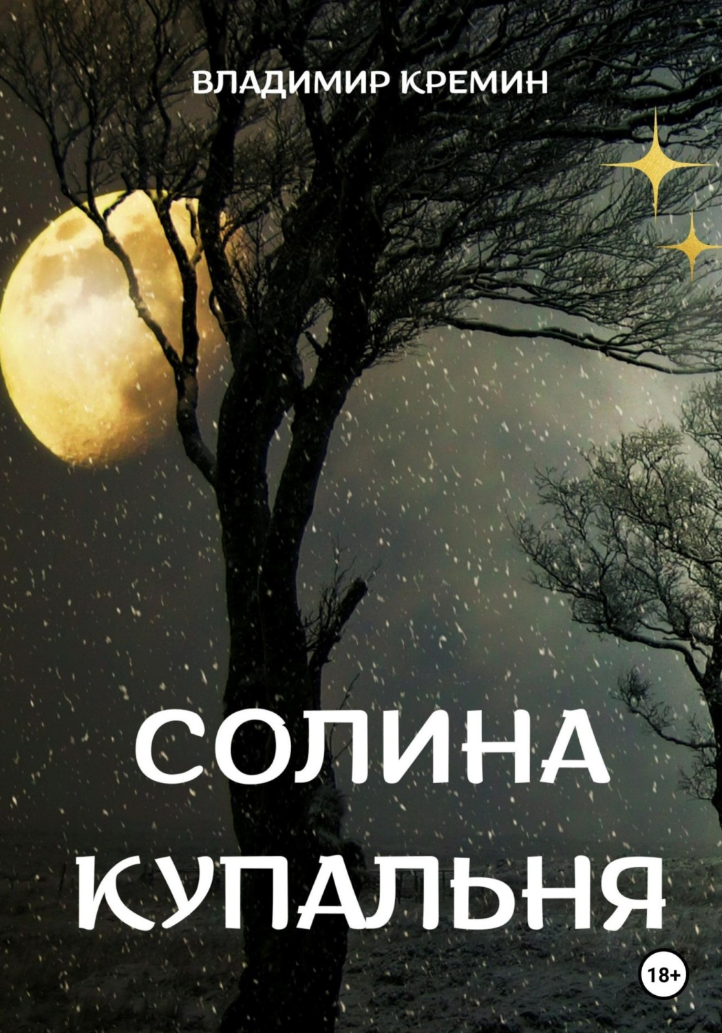 Обложка книги «Солина купальня»
