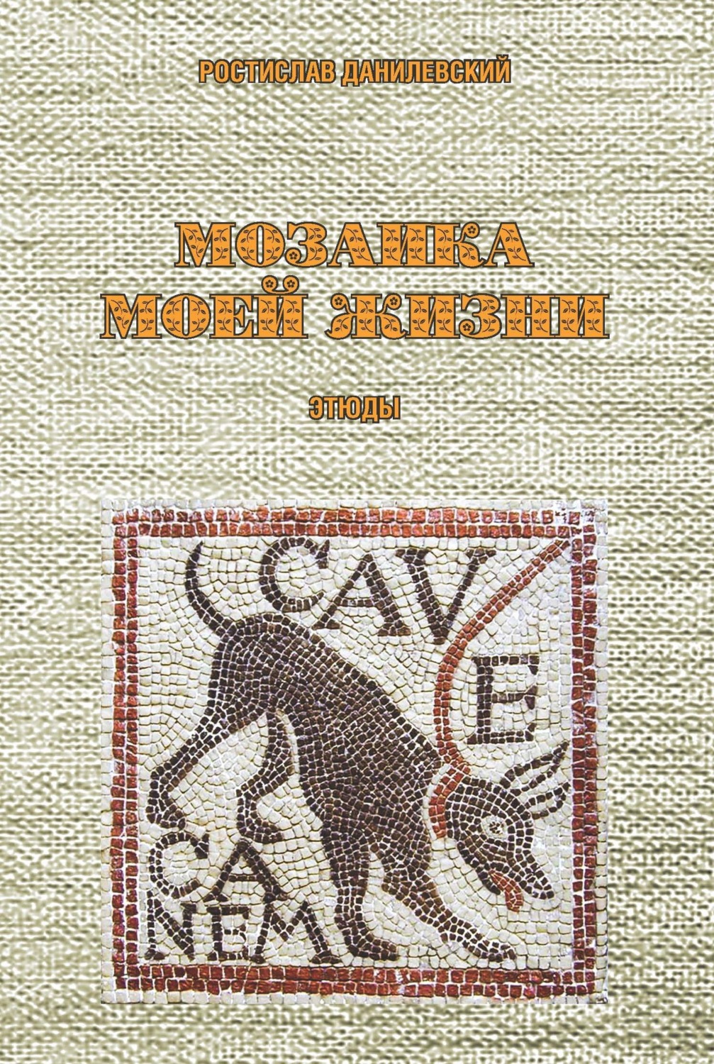 Обложка книги «Мозаика моей жизни»