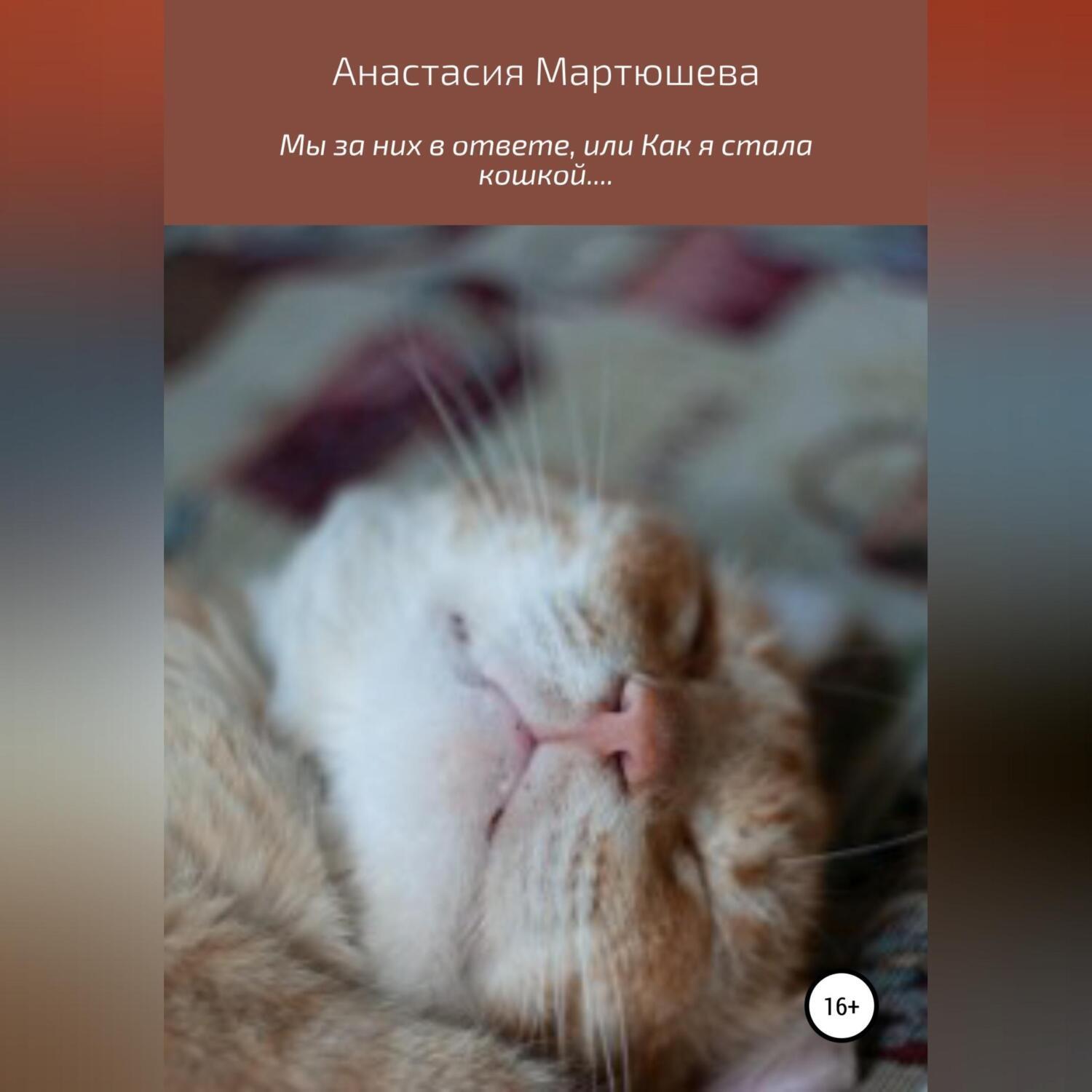 Обложка книги «Мы за них в ответе, или Как я стала кошкой…»