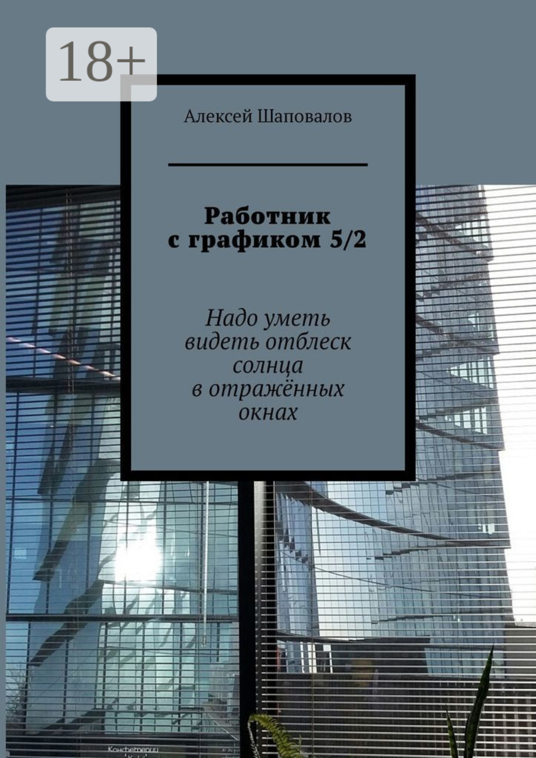 Обложка книги «Работник с графиком 5/2. Надо уметь видеть отблеск солнца в отражённых окнах»