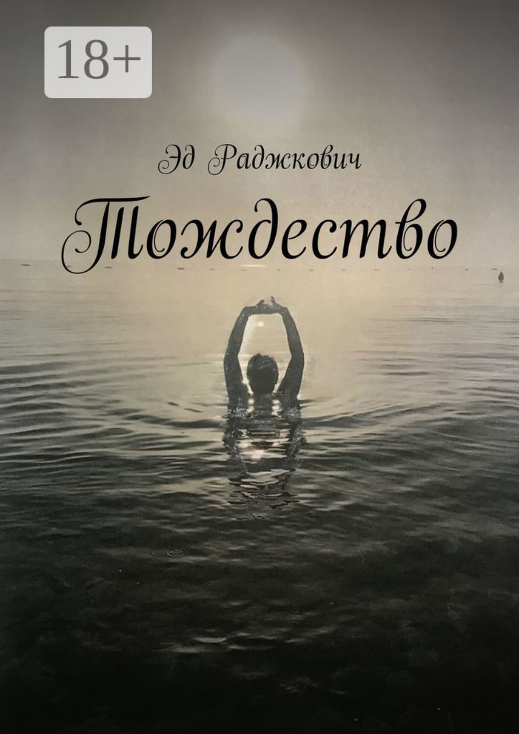 Обложка книги «Тождество»