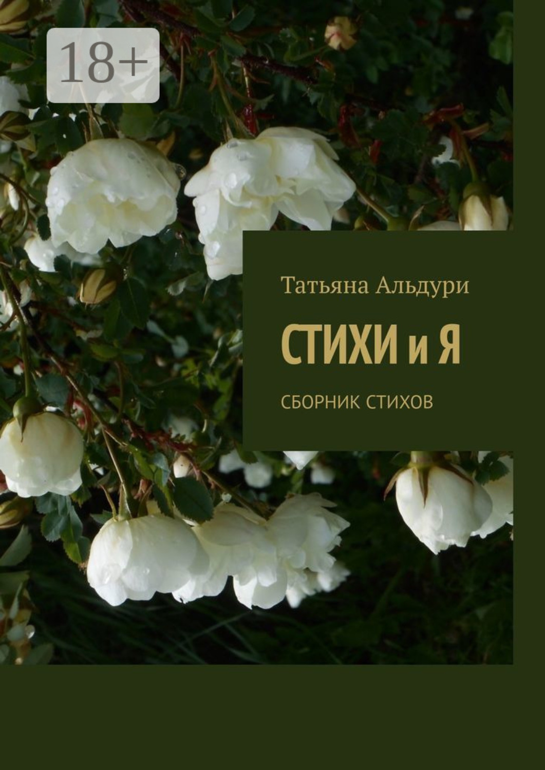 Обложка книги «Стихи и Я. Сборник стихов»
