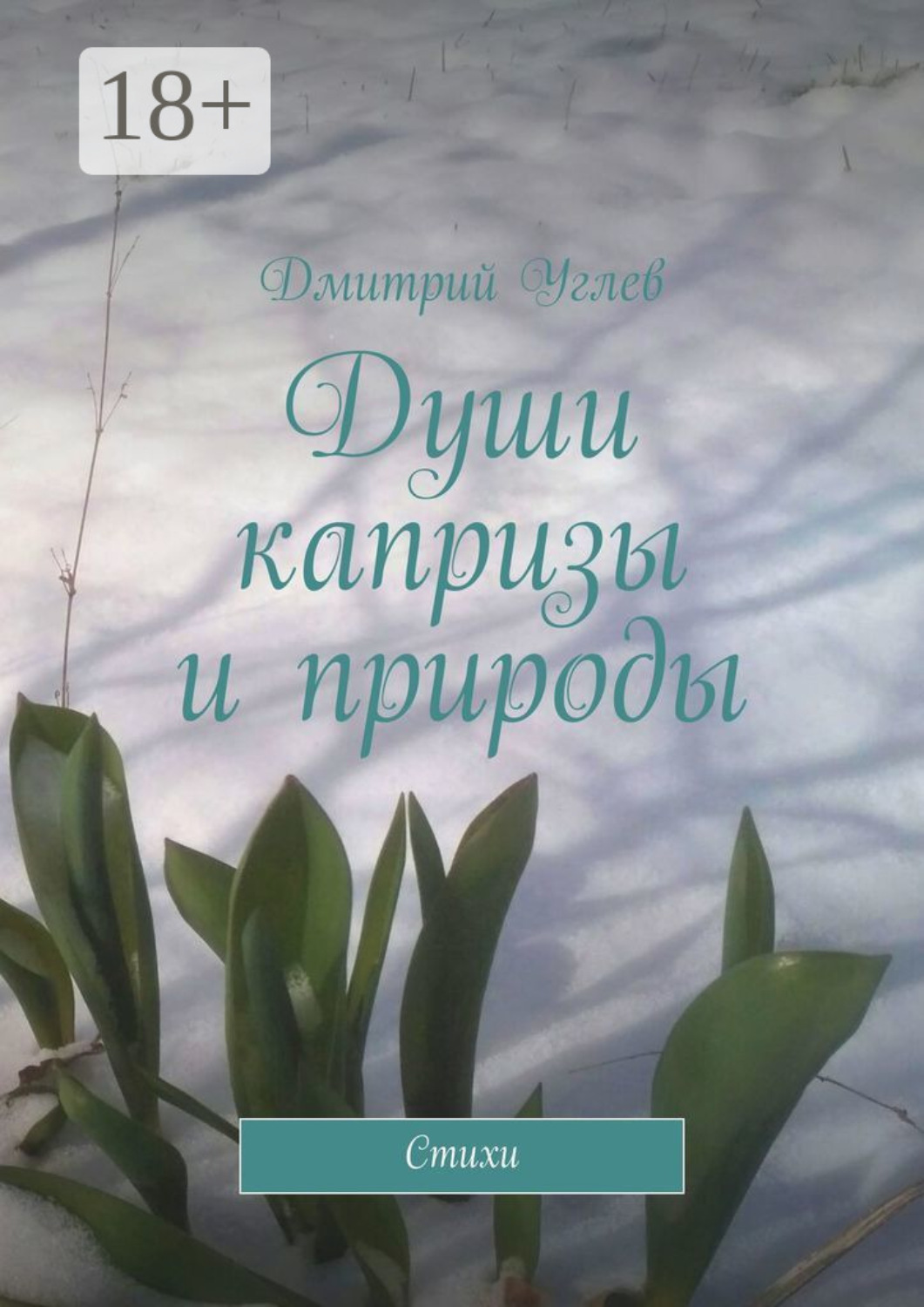 Обложка книги «Души капризы и природы. Стихи»