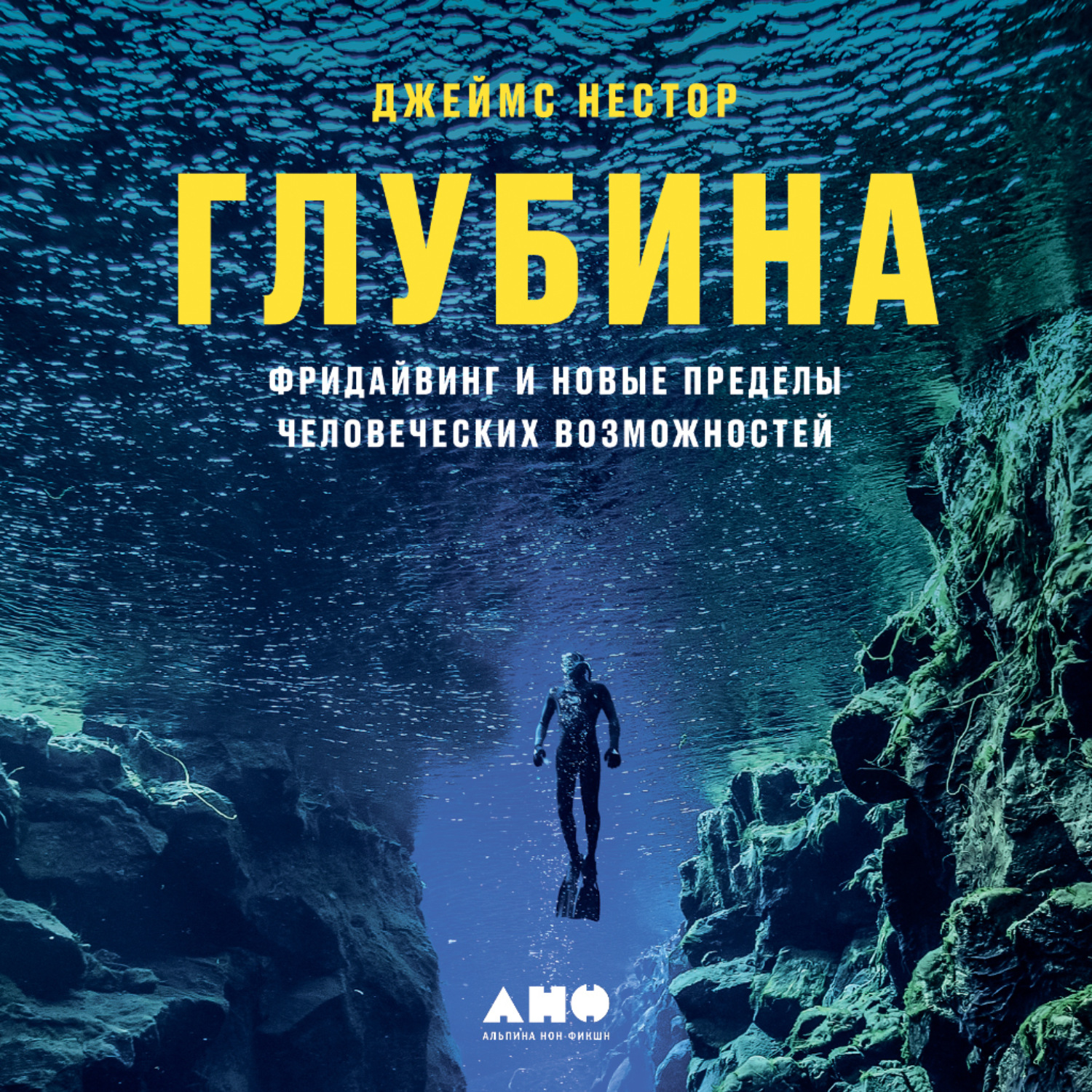 Обложка книги «Глубина. Фридайвинг и новые пределы человеческих возможностей»
