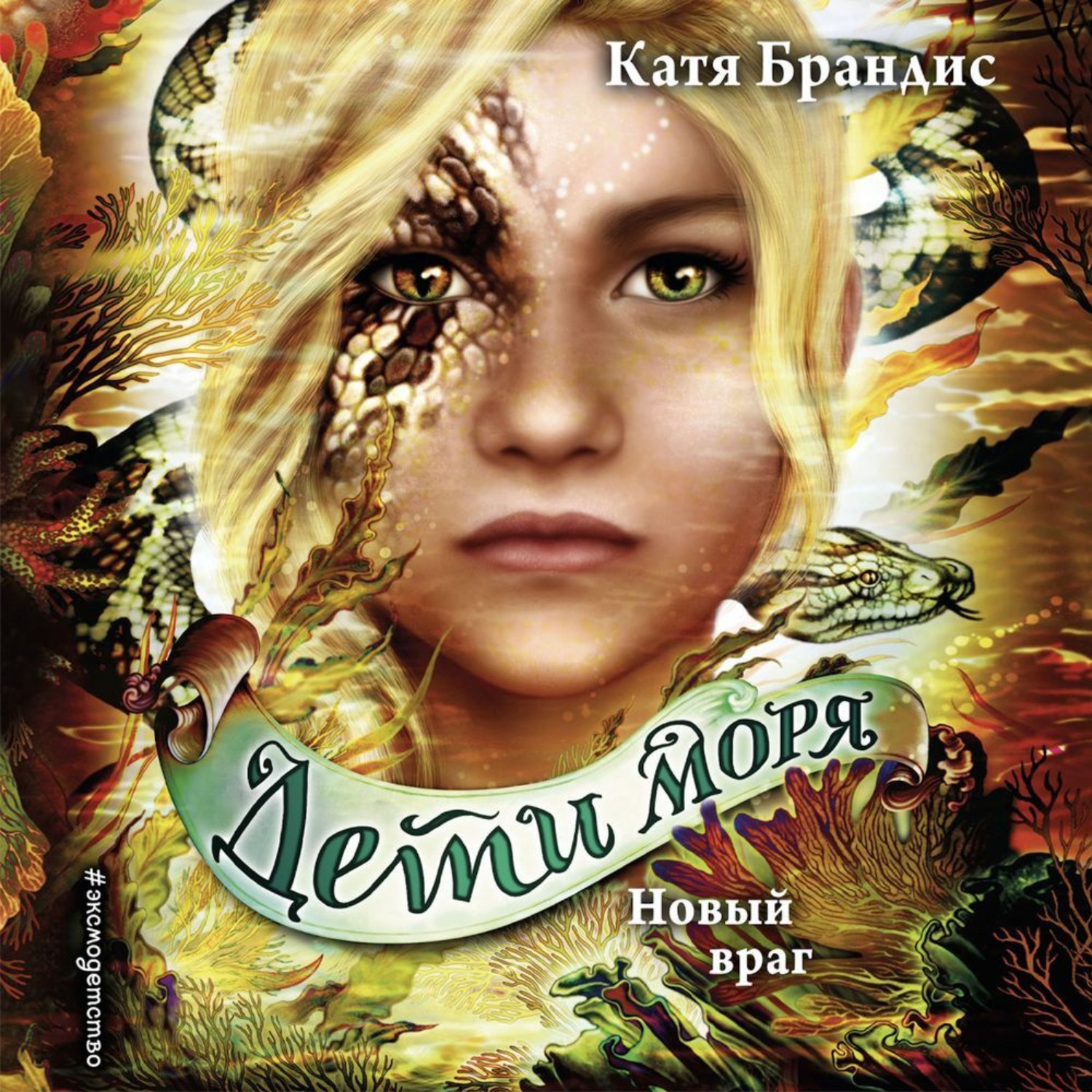 Обложка книги «Новый враг»
