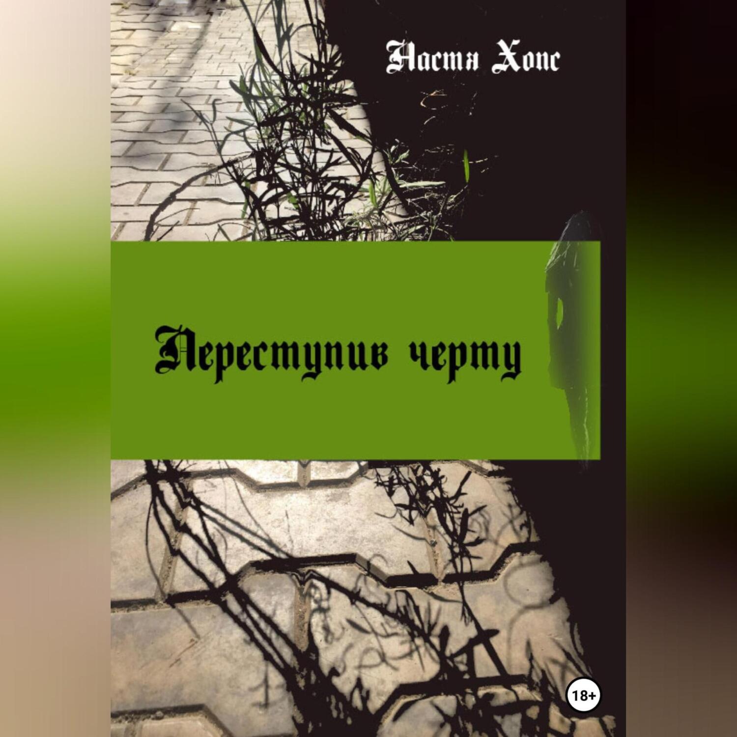 Обложка книги «Переступив черту»