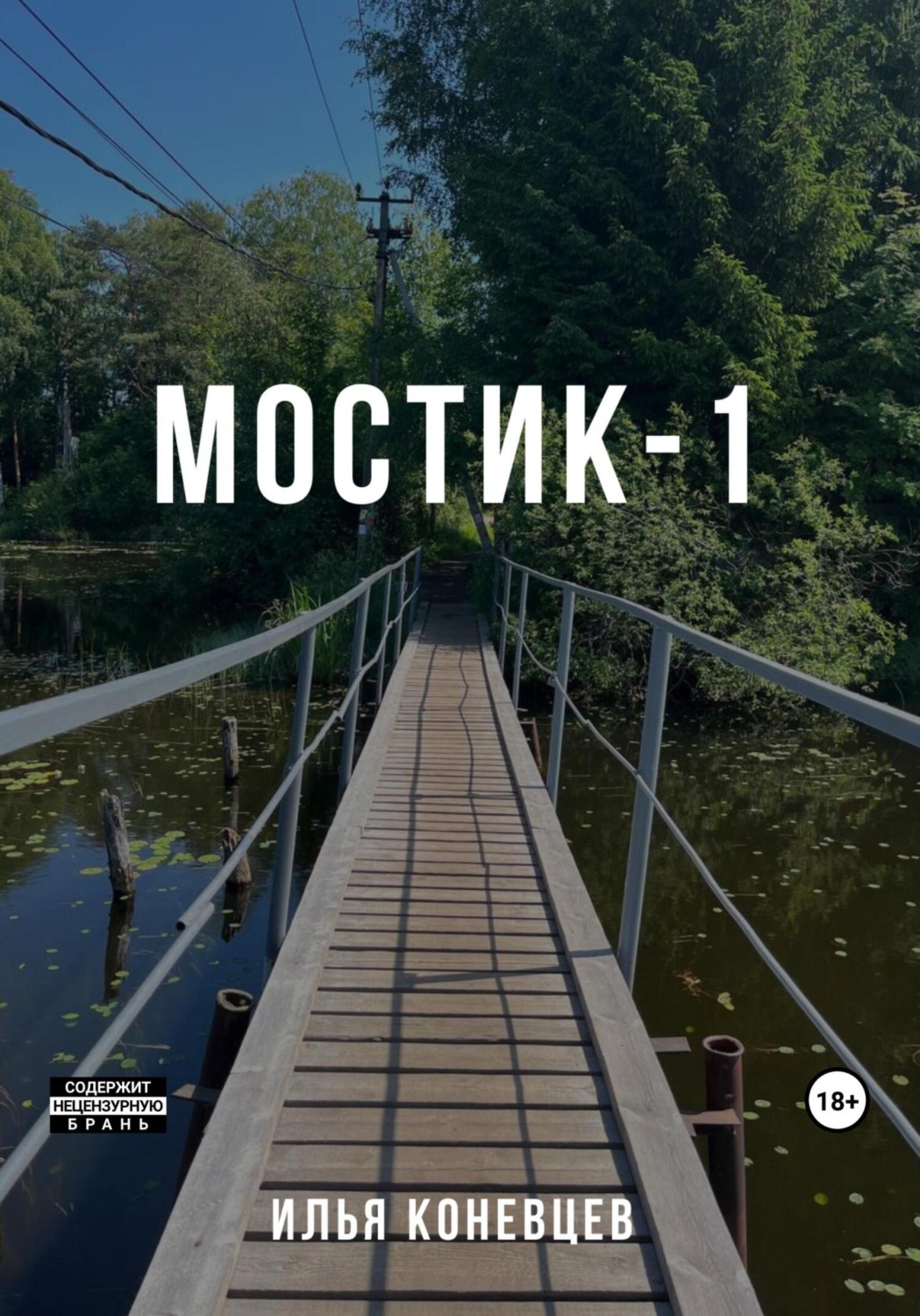 Обложка книги «Мостик-1»