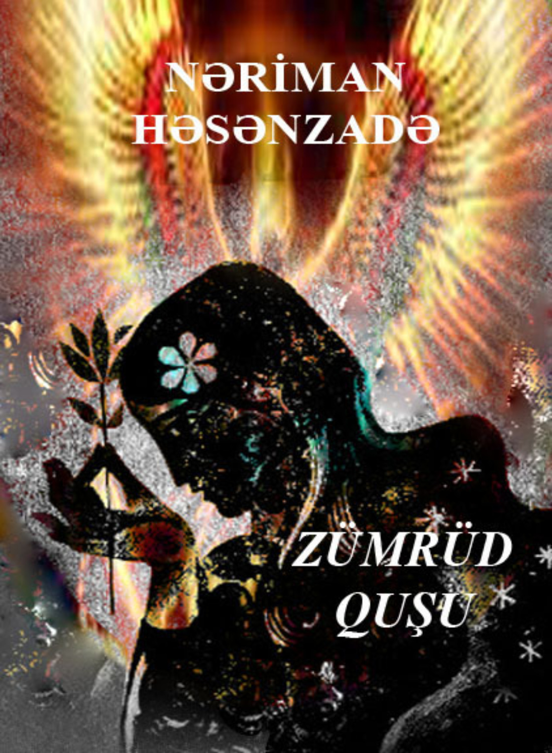 Обложка книги «Zümrüd quşu»