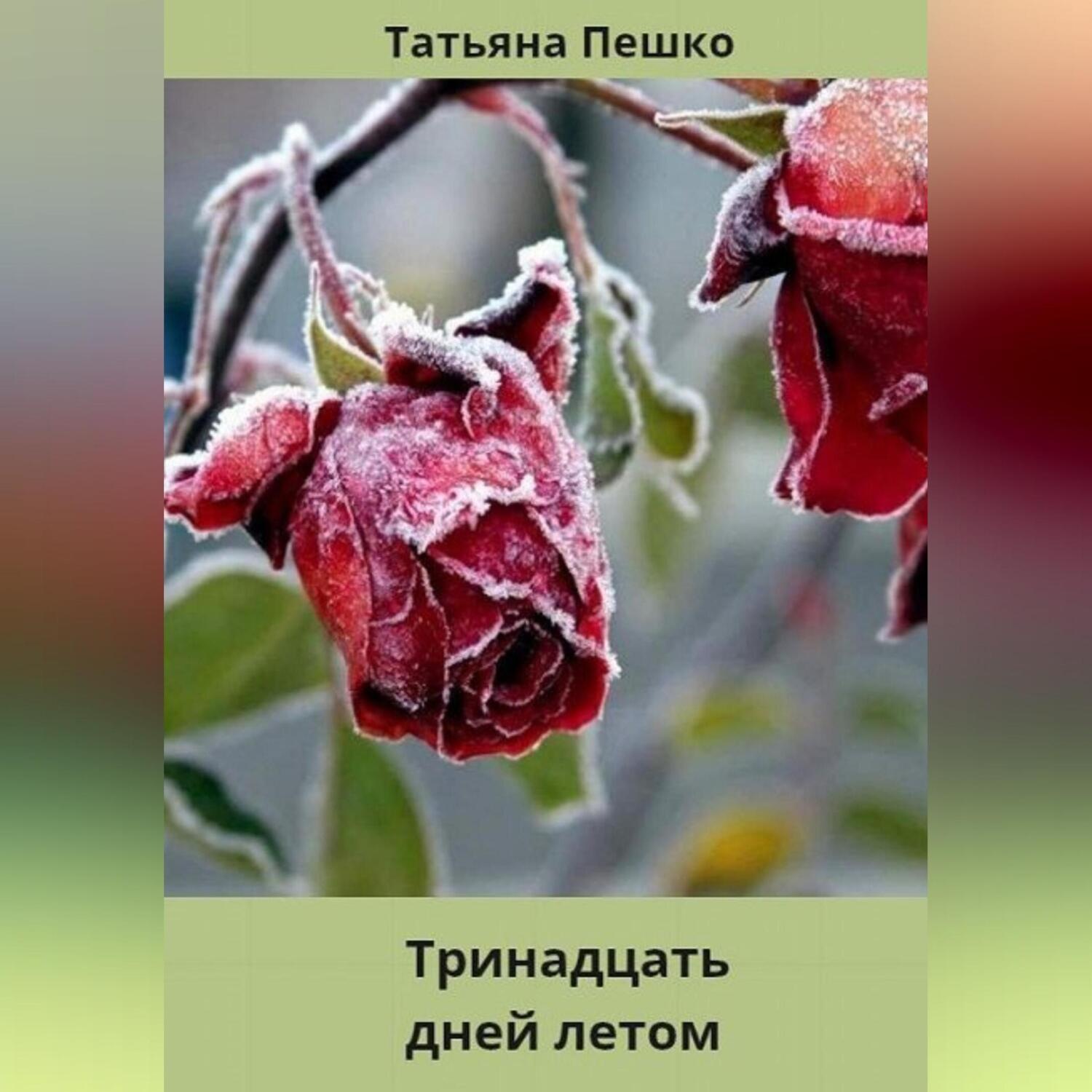 Обложка книги «Тринадцать дней летом»