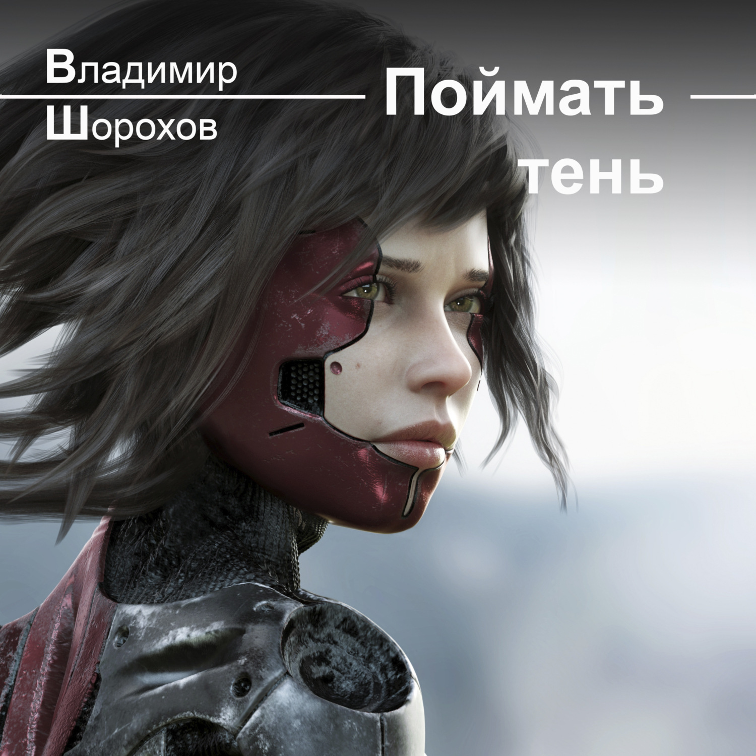 Обложка книги «Поймать тень»