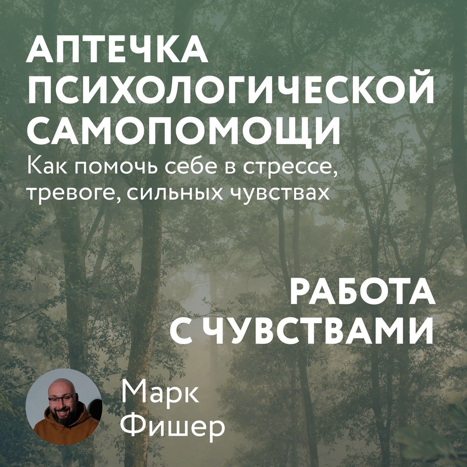 Обложка книги «Аптечка психологической самопомощи: Работа с чувствами»